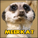 Meerkat Co-Op Traffic Exchange